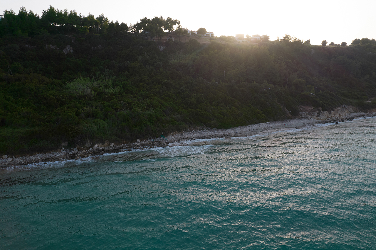 Δάση Κασσάνδρας Χαλκιδικής