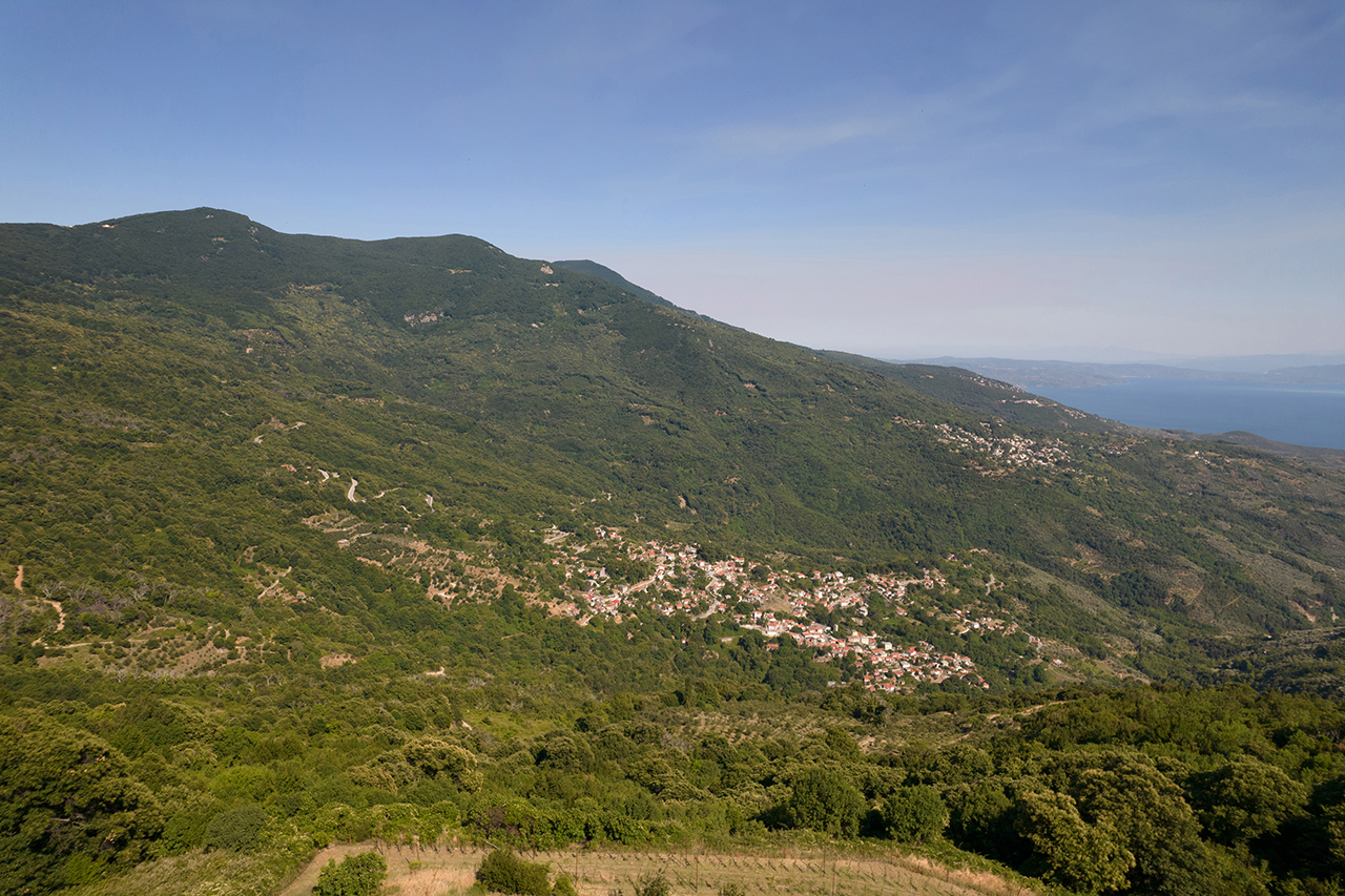 Δάση Πηλίου