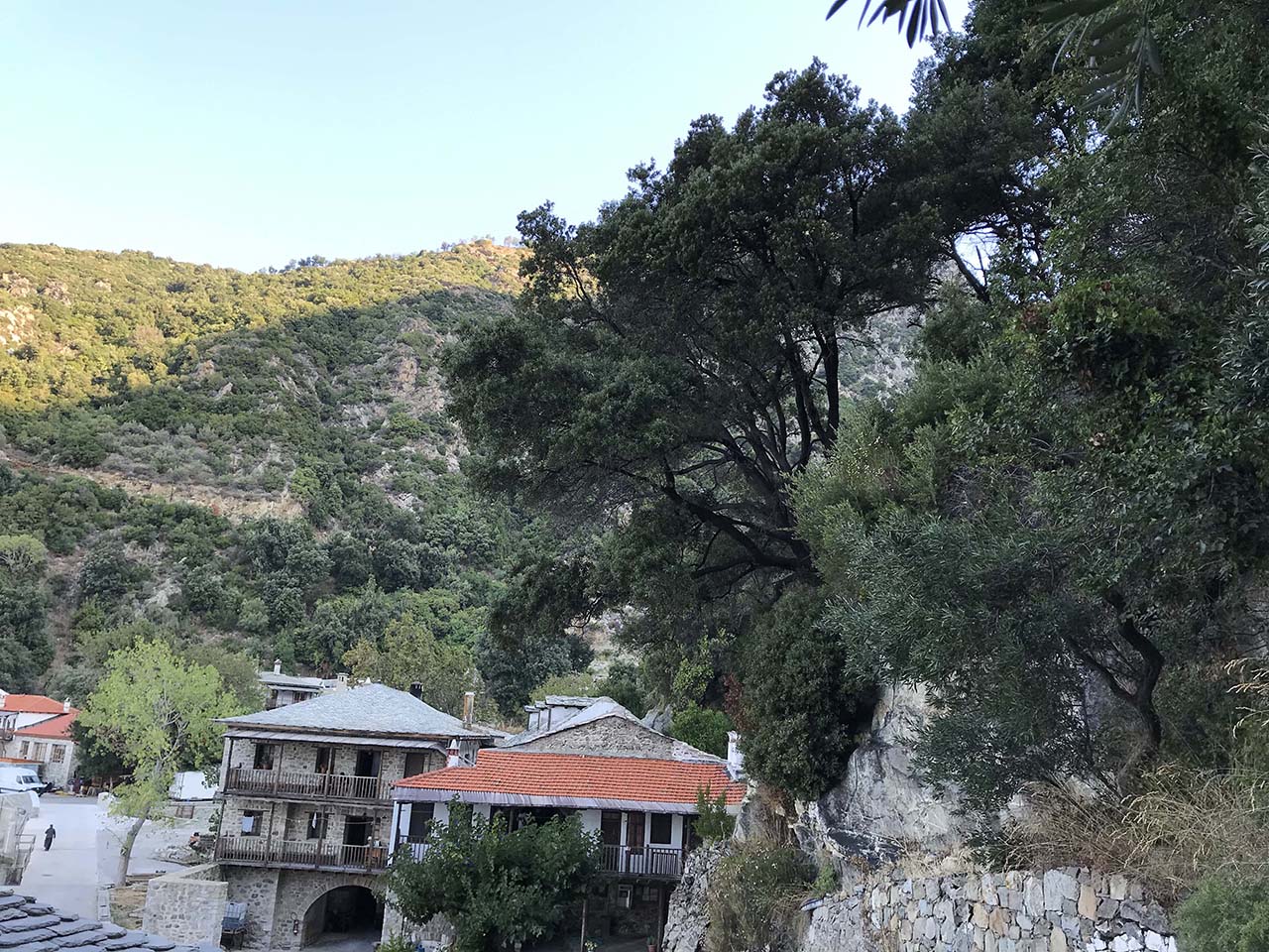 Δάση Αγίου Όρους (Άθως)