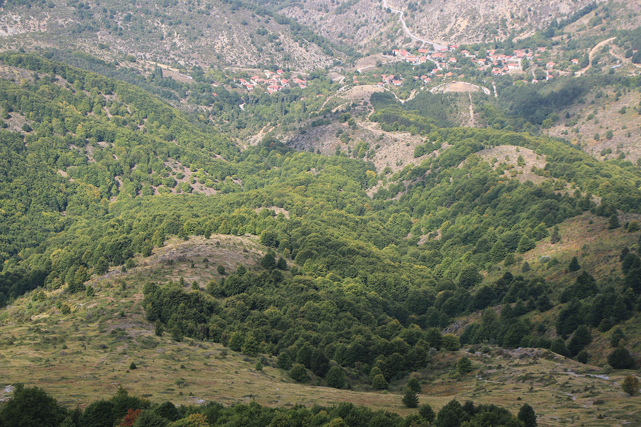 Δάση Άσκιου (Σινιάτσικου)