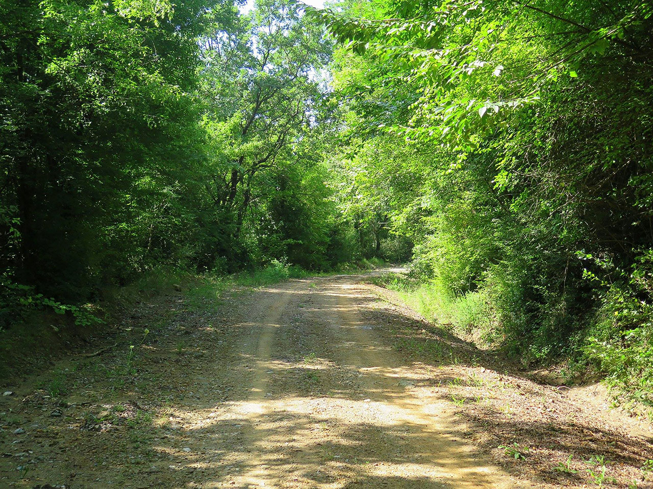 Δάση Μαυροβουνίου Θεσσαλίας