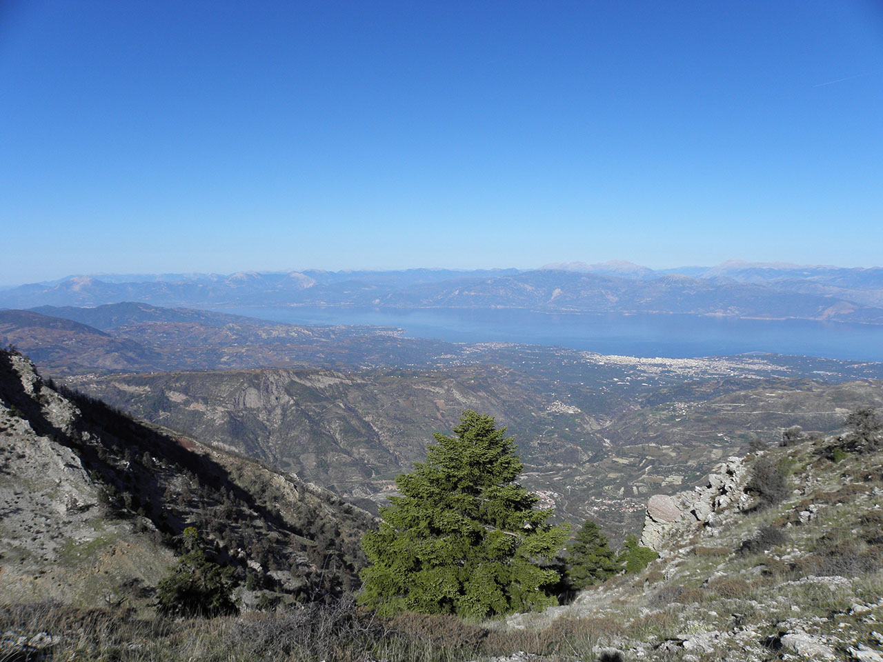 Δάση Παναχαϊκού-Κλωκού -Κάνισκας 