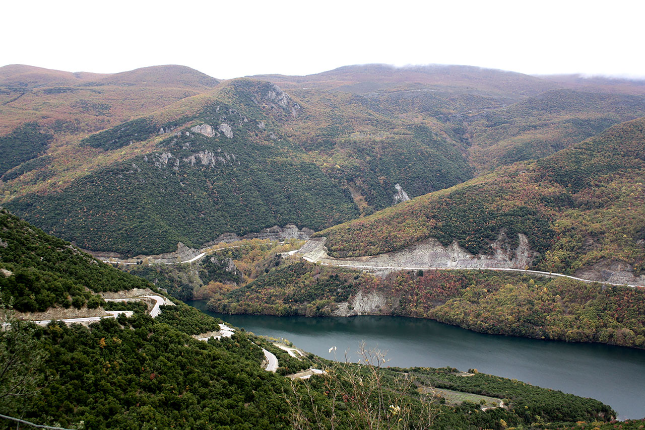 Δάση Παπίκιου Όρους και Ανατολικής Ροδόπης