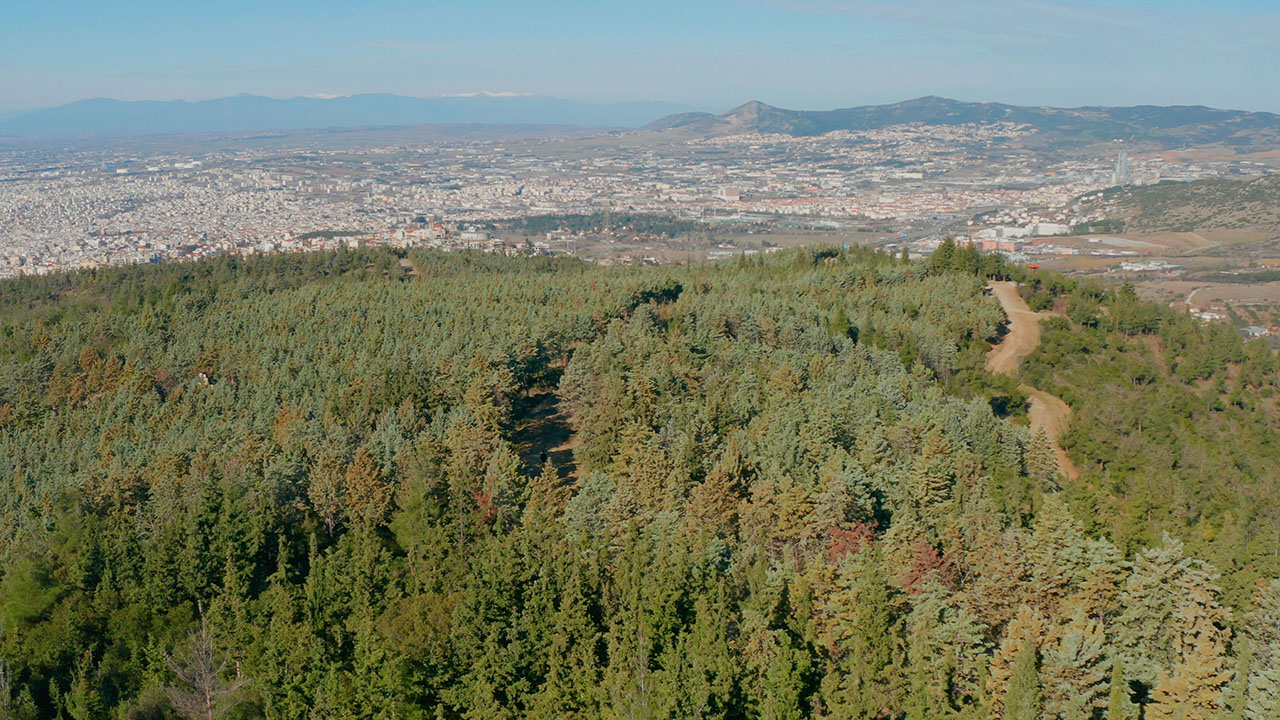 Περιαστικό Δάσος Θεσσαλονίκης (Σέιχ Σου)